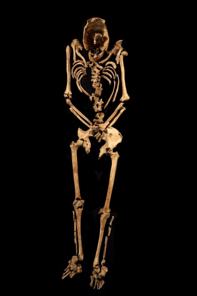 Crucified skeleton CREDIT-Albion Archaeology & Adam Williams - FENSTANTON